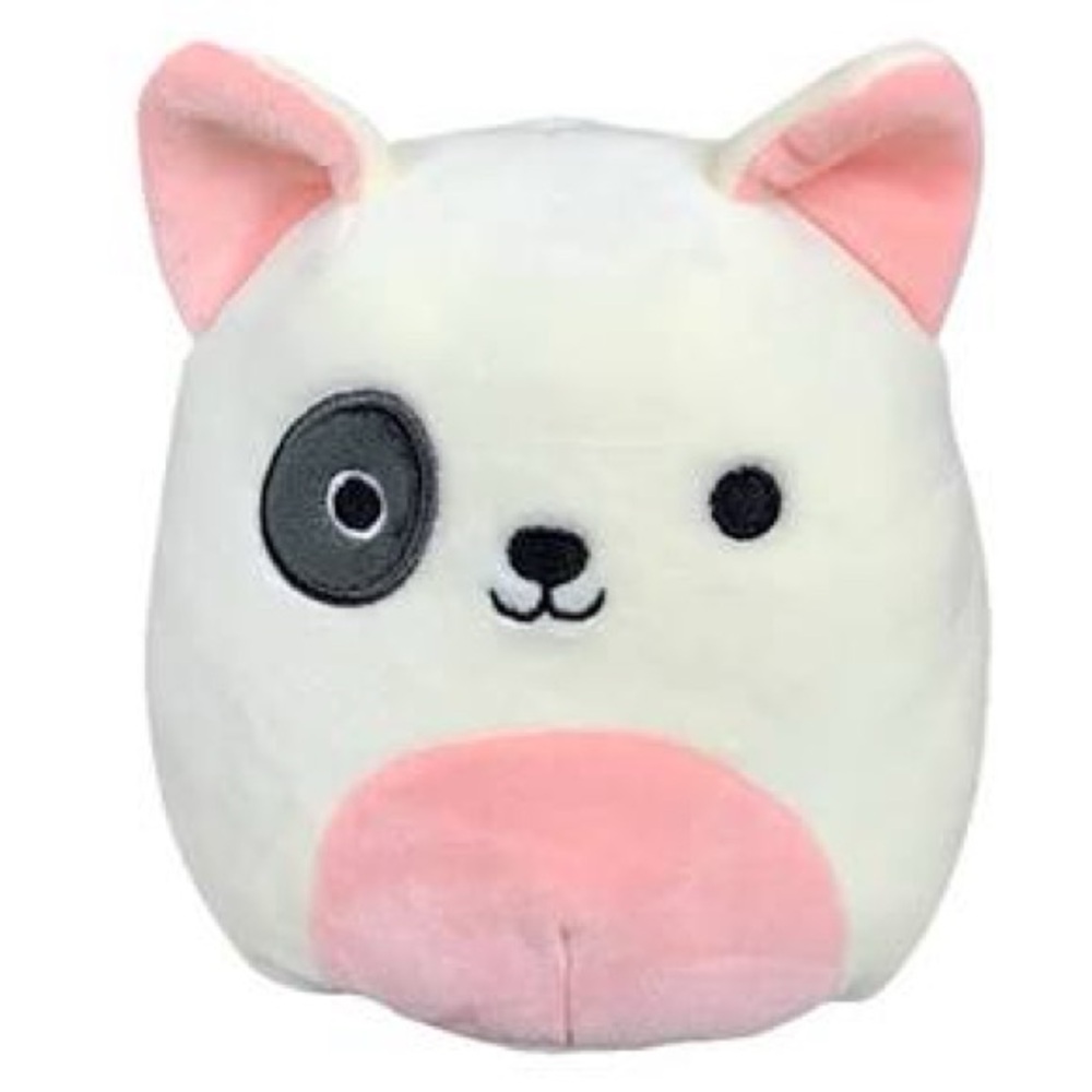 Charlie Squishmallow dog